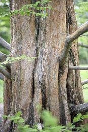 3DM速报：PS5新型号更轻但更热 《命运2邪姬魅影》Steam周销登顶